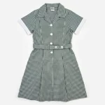 Girls Green Check Dress